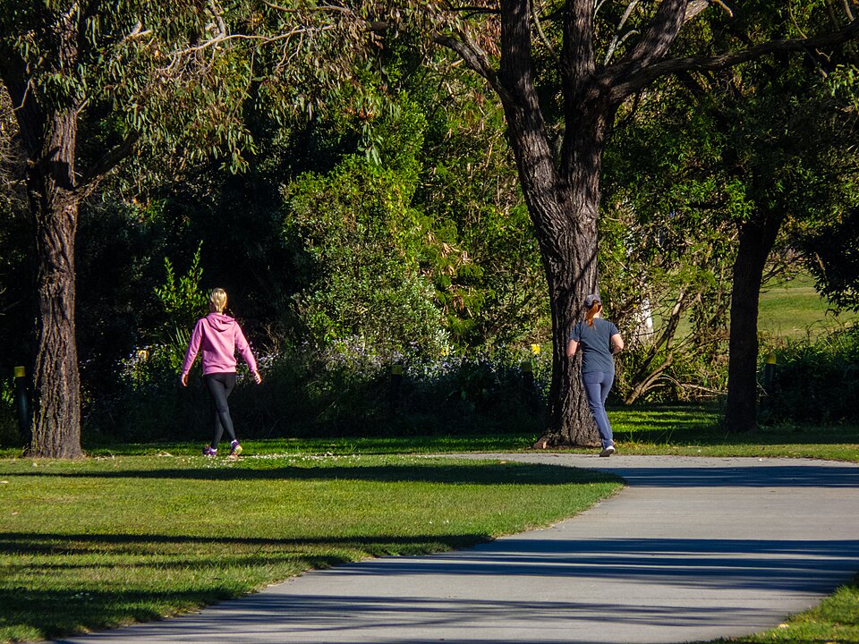 Walker and jogger 7th Brigade Parck Chermside P1330286