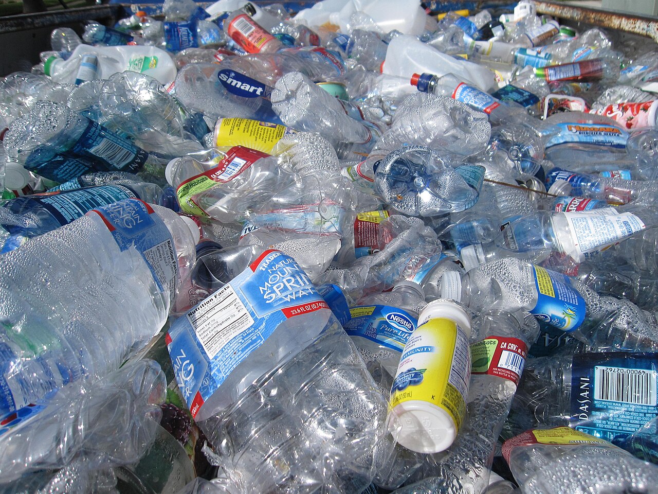 Plastic bottles collected for recycling